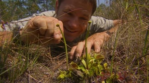 Deadly 60, Season 3 Episode 18 image