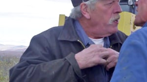 Bering Sea Gold, Season 6 Episode 6 image