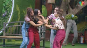 Bigg Boss, Season 13 Episode 16 image