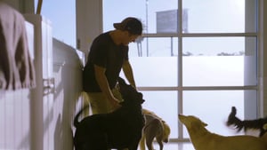 Doug to the Rescue, Season 1 Episode 2 image