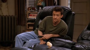 Friends, Season 3 Episode 21 image