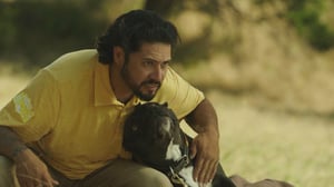 America's Top Dog, Season 1 Episode 5 image