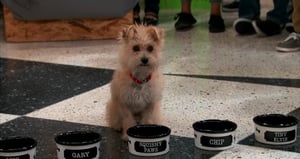 Nicky, Ricky, Dicky & Dawn, Season 1 Episode 9 image