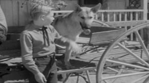 The Adventures of Champion, Season 1 Episode 7 image