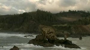 Ax Men, Season 1 Episode 11 image