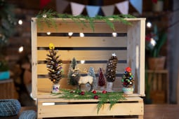 Daisy & the Gumboot Kids, Season 3 Episode 10 image