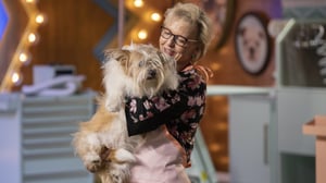 Haute Dog, Season 1 Episode 3 image