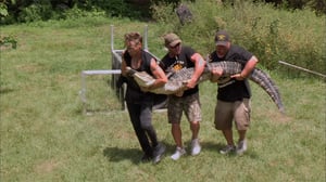 Billy the Exterminator, Season 6 Episode 4 image