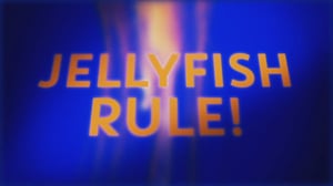 The Nature of Things, Season 54 Episode 20 image