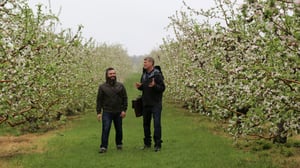 Treehouse Masters, Season 7 Episode 3 image