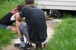 Pit Bulls and Parolees, Season 9 Episode 4 image