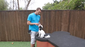 Lucky Dog, Season 4 Episode 6 image