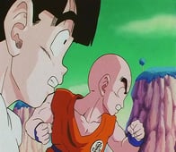 Dragon Ball Z, Season 1 Episode 63 image