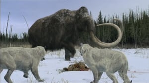Walking with Prehistoric Beasts, Season 1 Episode 6 image