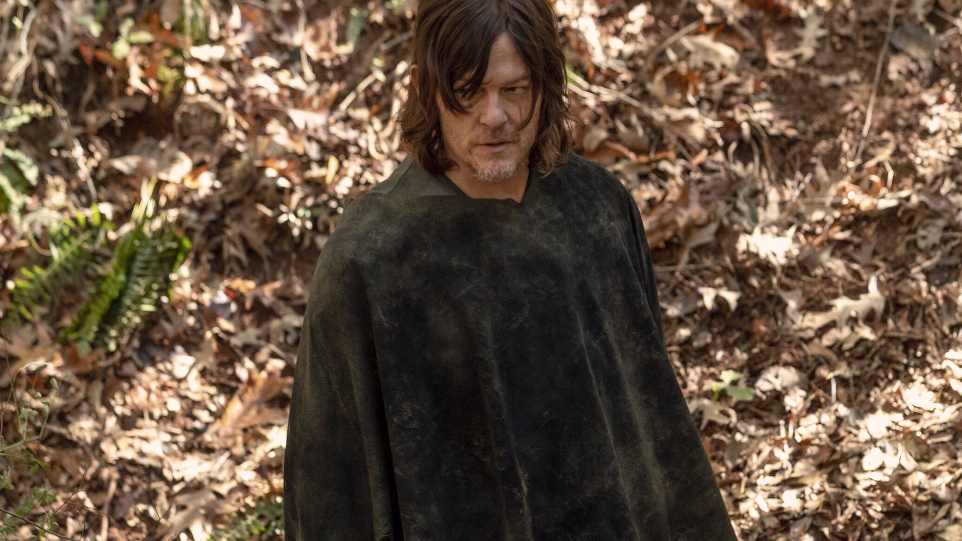 Norman Reedus, The Walking Dead