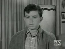 Leave It to Beaver, Season 5 Episode 27 image