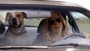 In Plain Sight, Season 4 Episode 10 image