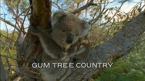 The Nature of Things, Season 44 Episode 23 image