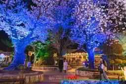 Doom at Your Service, Season 1 Episode 8 image