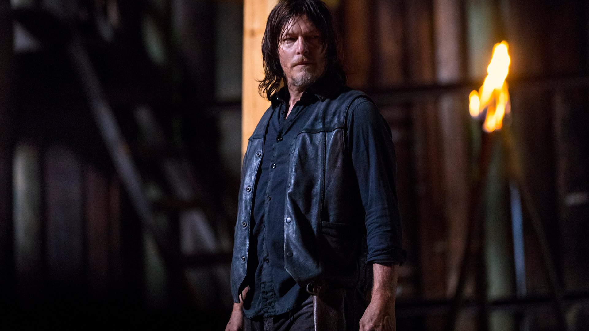 Norman Reedus, The Walking Dead