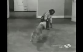 The Beverly Hillbillies, Season 2 Episode 33 image