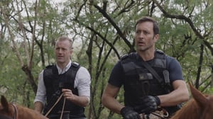 Hawaii Five-0, Season 10 Episode 19 image
