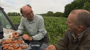 Time Team, Season 12 Episode 10 image