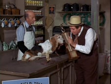 Green Acres, Season 3 Episode 3 image