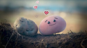 Waffles + Mochi, Season 1 Episode 3 image