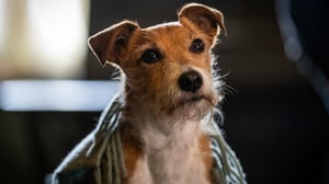 Call the Midwife, Season 12 Episode 6 image