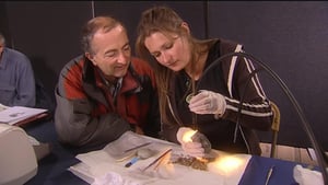 Time Team, Season 11 Episode 13 image