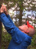 Treetop Cat Rescue, Season 1 Episode 9 image