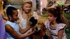Punky Brewster, Season 4 Episode 22 image