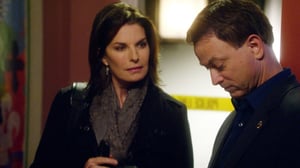 CSI: NY, Season 7 Episode 12 image