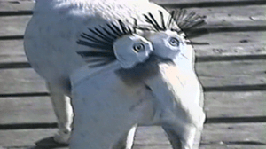 America's Funniest Home Videos, Season 15 Episode 16 image