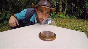 Brave Wilderness, Season 2 Episode 2 image