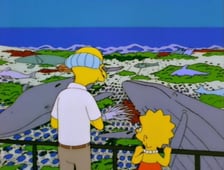 The Simpsons, Season 8 Episode 21 image