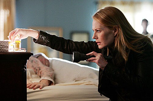 CSI: Crime Scene Investigation - Season 8, "The Theory of Everything" - Marg Helgenberger as Willows