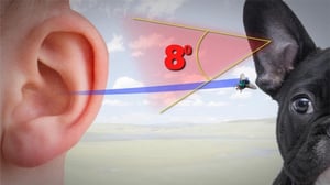 Howie Mandel's Animals Doing Things, Season 2 Episode 11 image