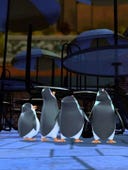 The Penguins of Madagascar, Season 1 Episode 34 image
