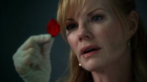 CSI: Crime Scene Investigation, Season 7 Episode 3 image