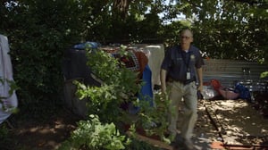 The First 48, Season 19 Episode 7 image