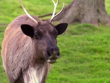 Beaver Brothers, Season 1 Episode 4 image