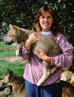 Growing Up... Wolf - Peggy Callahan, Director, Wolf Science Centre, Minnesota, USA with young wolf.