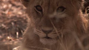 Into the Pride, Season 1 Episode 1 image