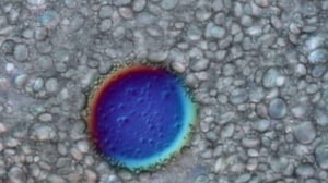 Horizon, Season 47 Episode 5 image