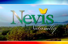 Air Land & Sea, Season 3 Episode 2 image