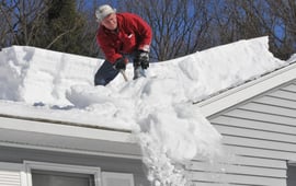 Science of Stupid, Season 5 Episode 16 image