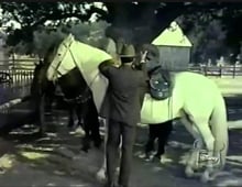 The Magical World of Disney, Season 6 Episode 24 image