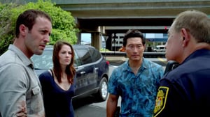 Hawaii Five-0, Season 4 Episode 1 image
